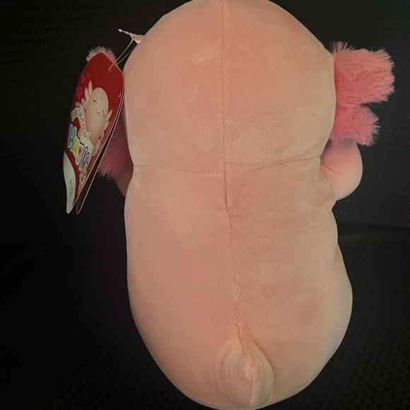 Squishmallow Hugmee Archie 10” - Picture 3 of 4